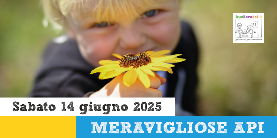 BUSZEROSEI+2 – MERAVIGLIOSE API